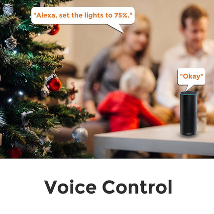 Minoston Wi-Fi Dimmer Smart Plug for Outdoor and Indoor (MP22WD)